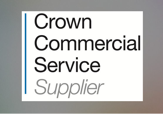 Pixelate by Ocucon | Crown Commercial Service Approved